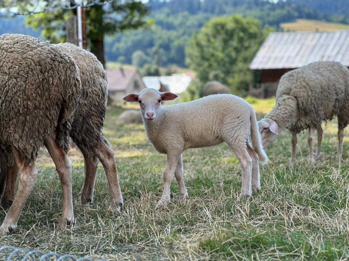Penzion Hrubjak Oravska Polhora Bagian luar foto